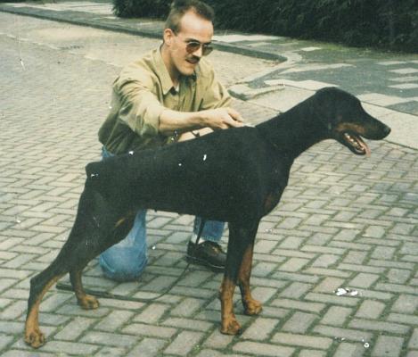 Ziggy v. Franckenhorst | Black Doberman Pinscher