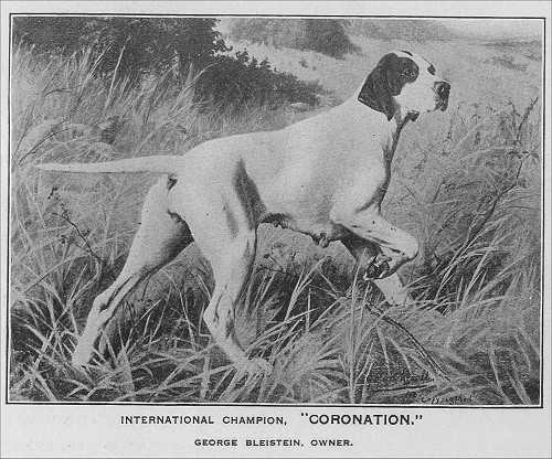 Coronation (1901) 3/1903 32G 98605 V23 | Pointer 