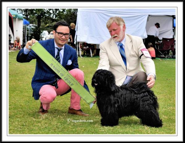 Caerlaverock Emaho-Namba | Tibetan Terrier 