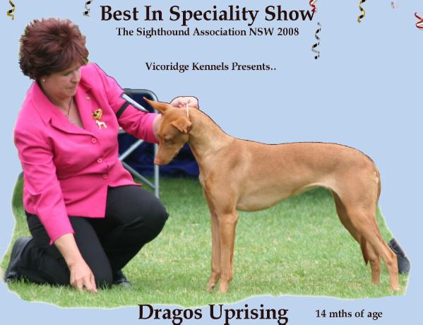 dragos uprising | Pharaoh Hound 