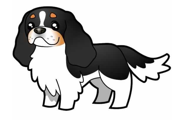 Ttiweh Lilac of Dendy | Cavalier King Charles Spaniel 