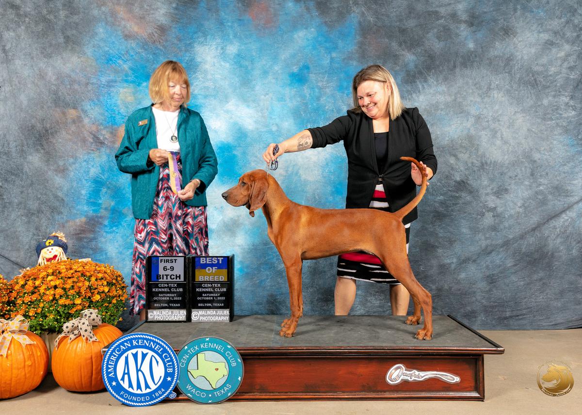 3Color's HH Poison N My Veins @Treerizin | Redbone Coonhound 