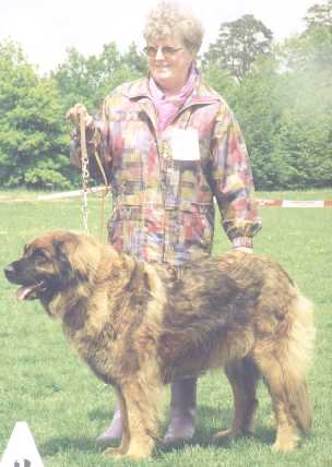 Indra v. Welland | Leonberger 