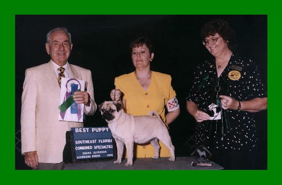 Coral Bay's Indian Summer | Pug 