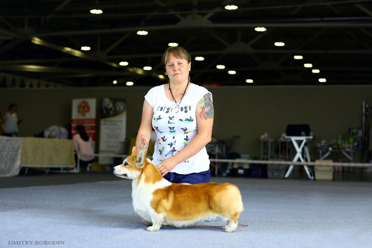 REICHENHAUS ISKANDER | Pembroke Welsh Corgi 