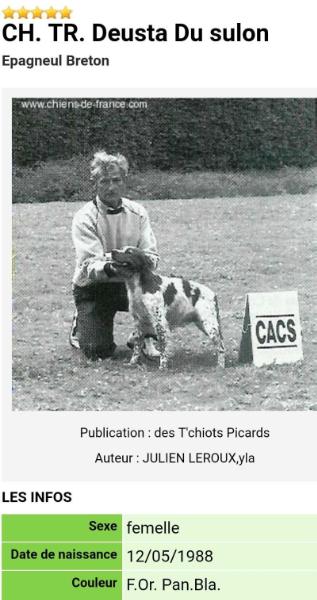 DEUSTA du sulon | Brittany 