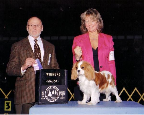 Countrymanor Honey | Cavalier King Charles Spaniel 