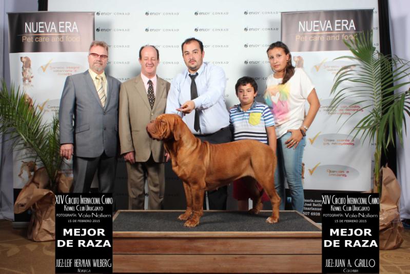 Zoe de Escocanes at Anhelo de Burdeos | Dogue de Bordeaux 