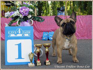 POD ZNAKOM LEO FUROR PERFECTION | French Bulldog 