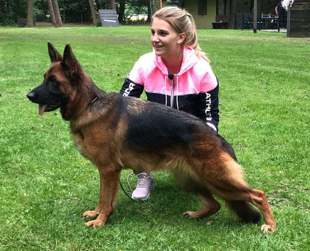 Luise Haus Wityk | German Shepherd Dog 
