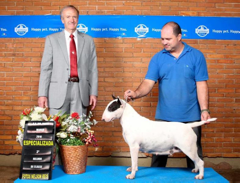 Rio do Areal Margareth | Bull Terrier 