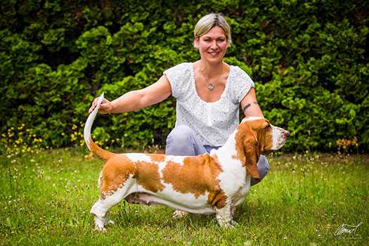 Eliška Orvišnik | Basset Hound 