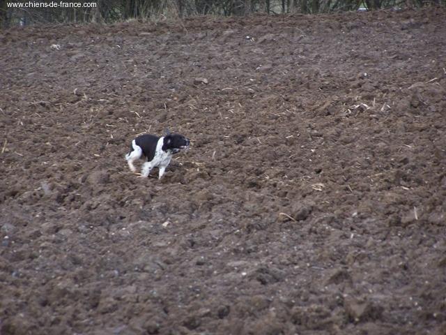 UTIQUE DE KERANLOUAN | Brittany 