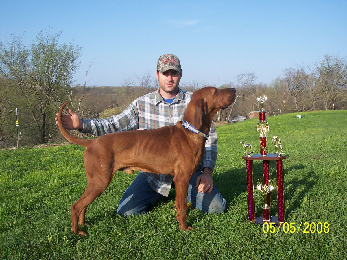 PR Red Fever Razors Rip N Tear | Redbone Coonhound 