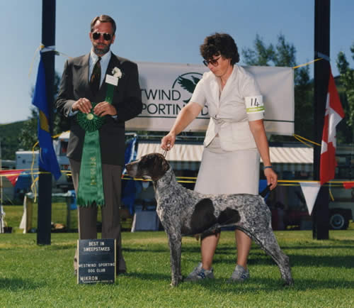 Clonaslee's Just a Jewel | German Shorthaired Pointer 