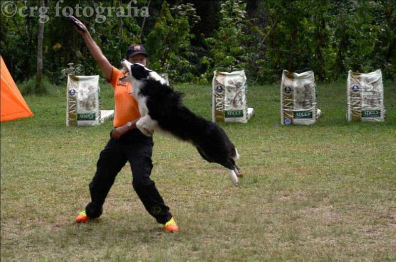 Puppy World Aquiles | Border Collie 