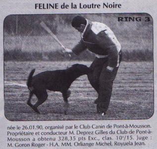 Feline de la Loutre Noire | Beauceron 