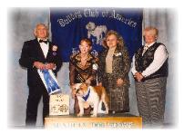 Showtime Envy | Bulldog 