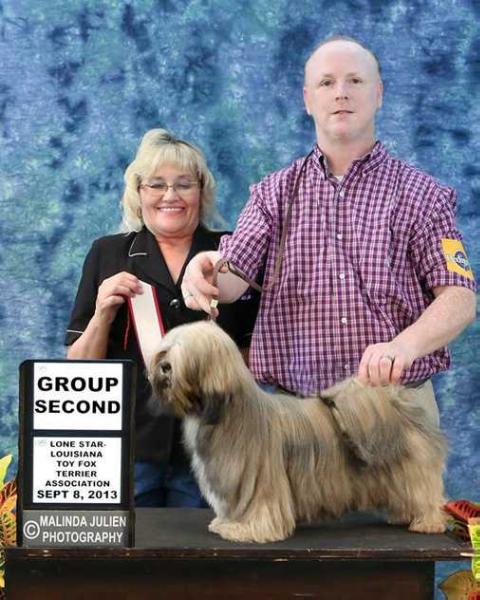 Jaron's Tham-B Topaz Moonshine | Lhasa Apso 