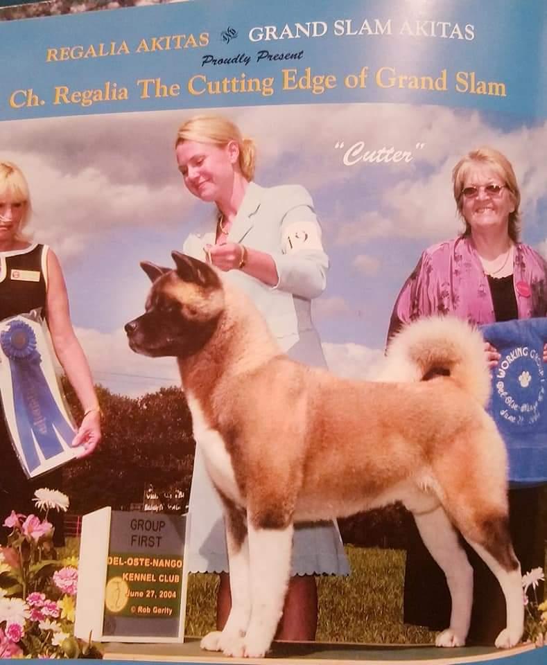 Regalias Cutting Edge Of Grandslam | Akita 