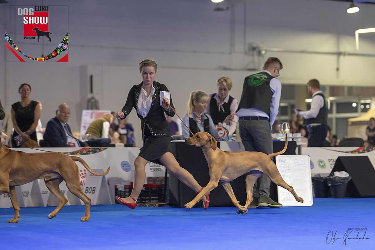 Grand Cortege Noble Queen | Rhodesian Ridgeback 