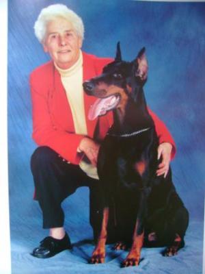 Larson v. Frankenland | Black Doberman Pinscher