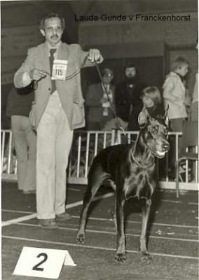 Lauda-Gunde v. Franckenhorst | Black Doberman Pinscher