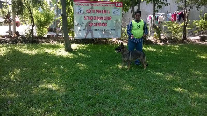 Baisa vom HAUS PHAM | German Shepherd Dog 