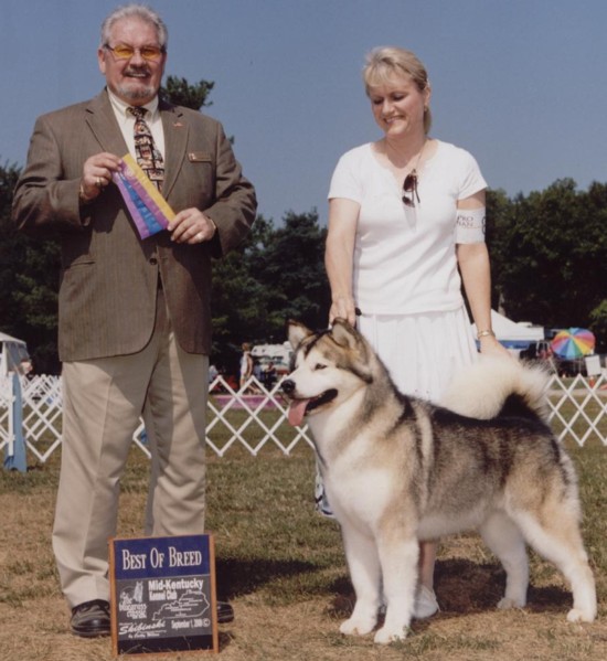 Malaczar´s Looking to Empress | Alaskan Malamute 