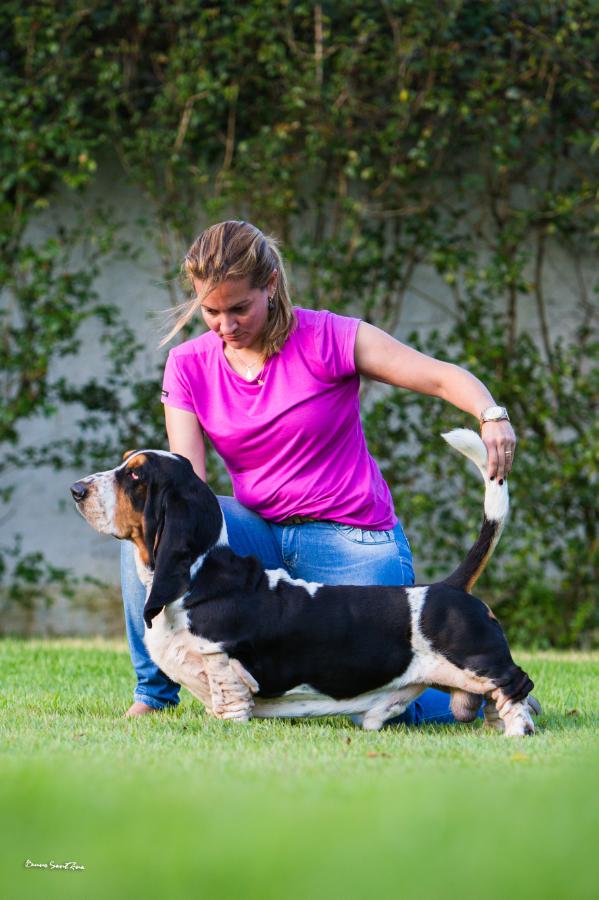 Br qatar lake park | Basset Hound 