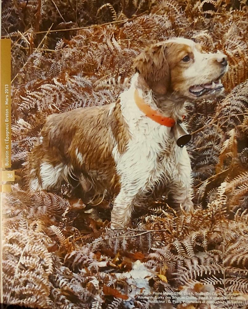 BAXI de la plaine Marat | Brittany 