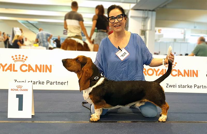 Enno The Paradisehound | Basset Hound 