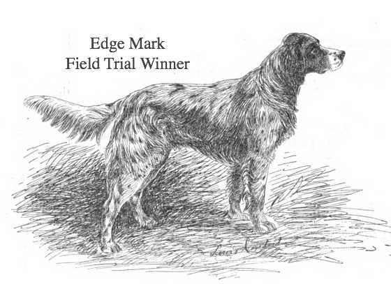 Edge Mark (c.1891) | English Setter 