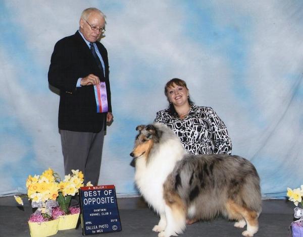 Rimba's Once In A Blue Moon | Rough Collie 