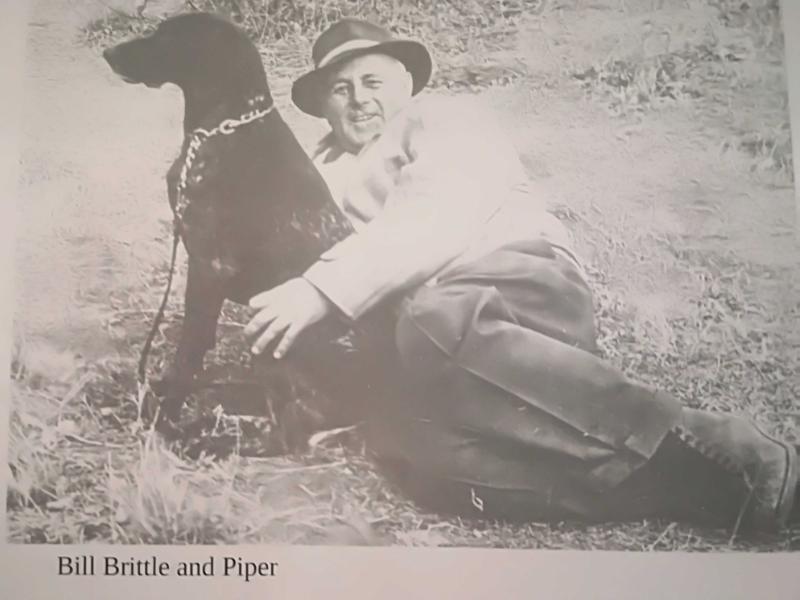 HUNTINGTOWER PIPER OF ROTHBERT | German Shorthaired Pointer 