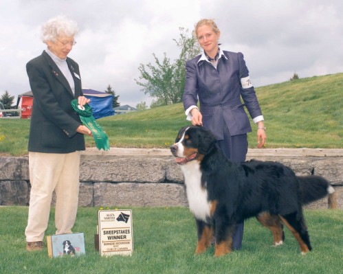 LAC BROME BACH TO MTN SPIRIT | Bernese Mountain Dog 