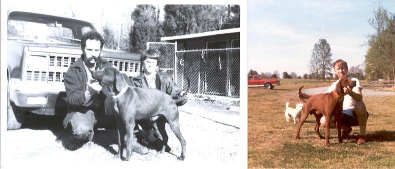 Tarheel Red Ace | Redbone Coonhound 