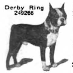 Derby Ring (249266) | Boston Terrier 