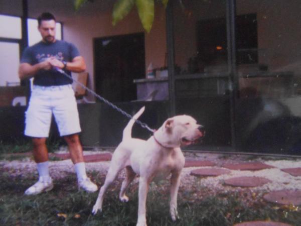 IronHouse's / Guanche's Soul Sister | American Bulldog 