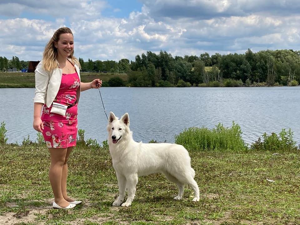 Flashing Jewel Rumour Has It | White Swiss Shepherd Dog 