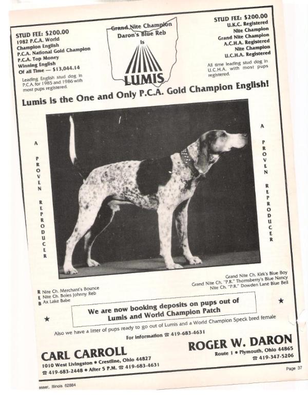 Daron's Blue Reb (Lumis) | American English Coonhound 