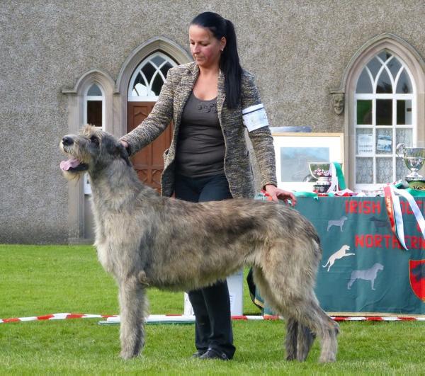 Bloody Mary Tullamore Good Stuff | Irish Wolfhound 