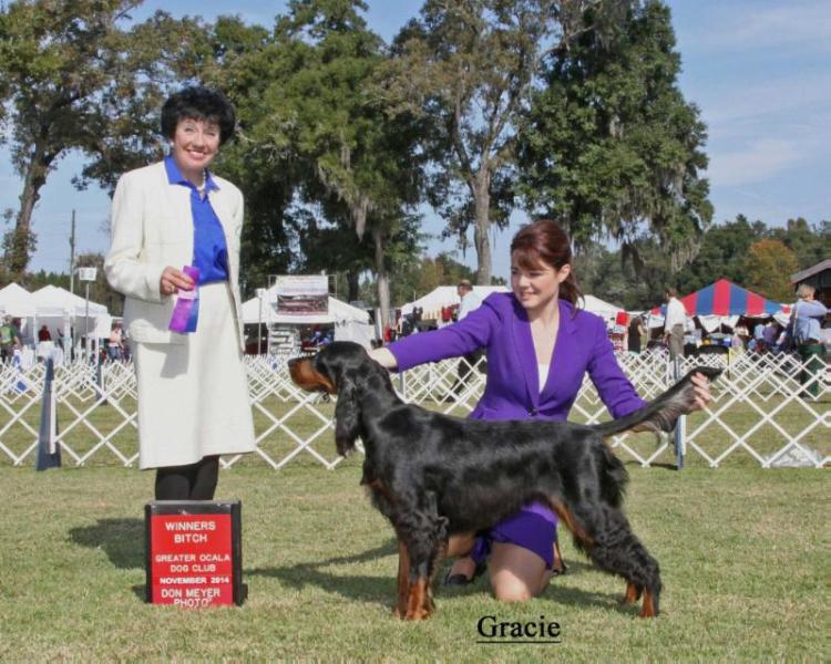 GLEN 'MOR'S PRECIOUS GREUSAICH | Gordon Setter 