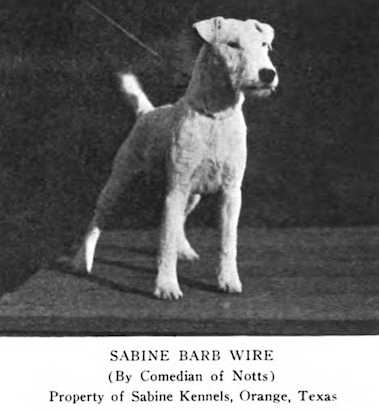Sabine Barb Wire 204064 | Wire Fox Terrier 