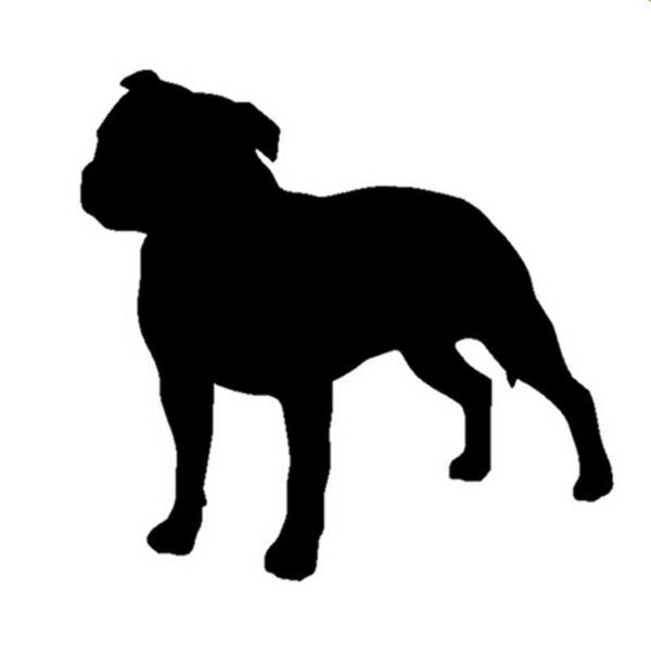 SILVESTER OF CANTERBURY | Staffordshire Bull Terrier 