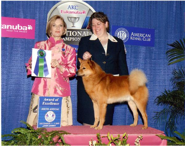 Pikkinokka's Far Darrig Kodiak | Finnish Spitz 