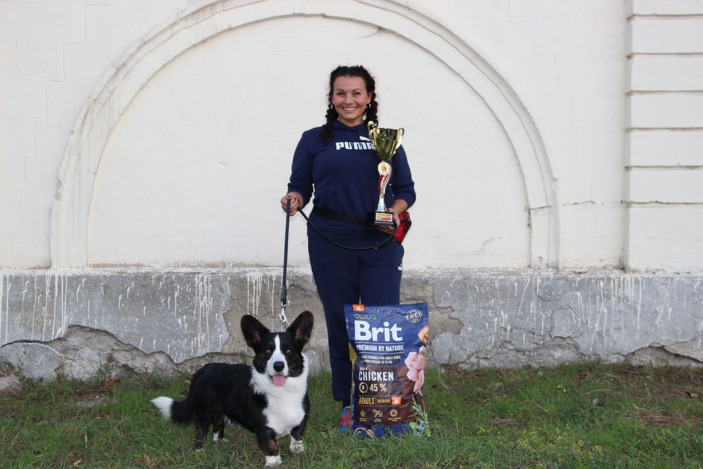 SEVASTOPOLSKIY VALS Leonardo da Vinci | Cardigan Welsh Corgi 