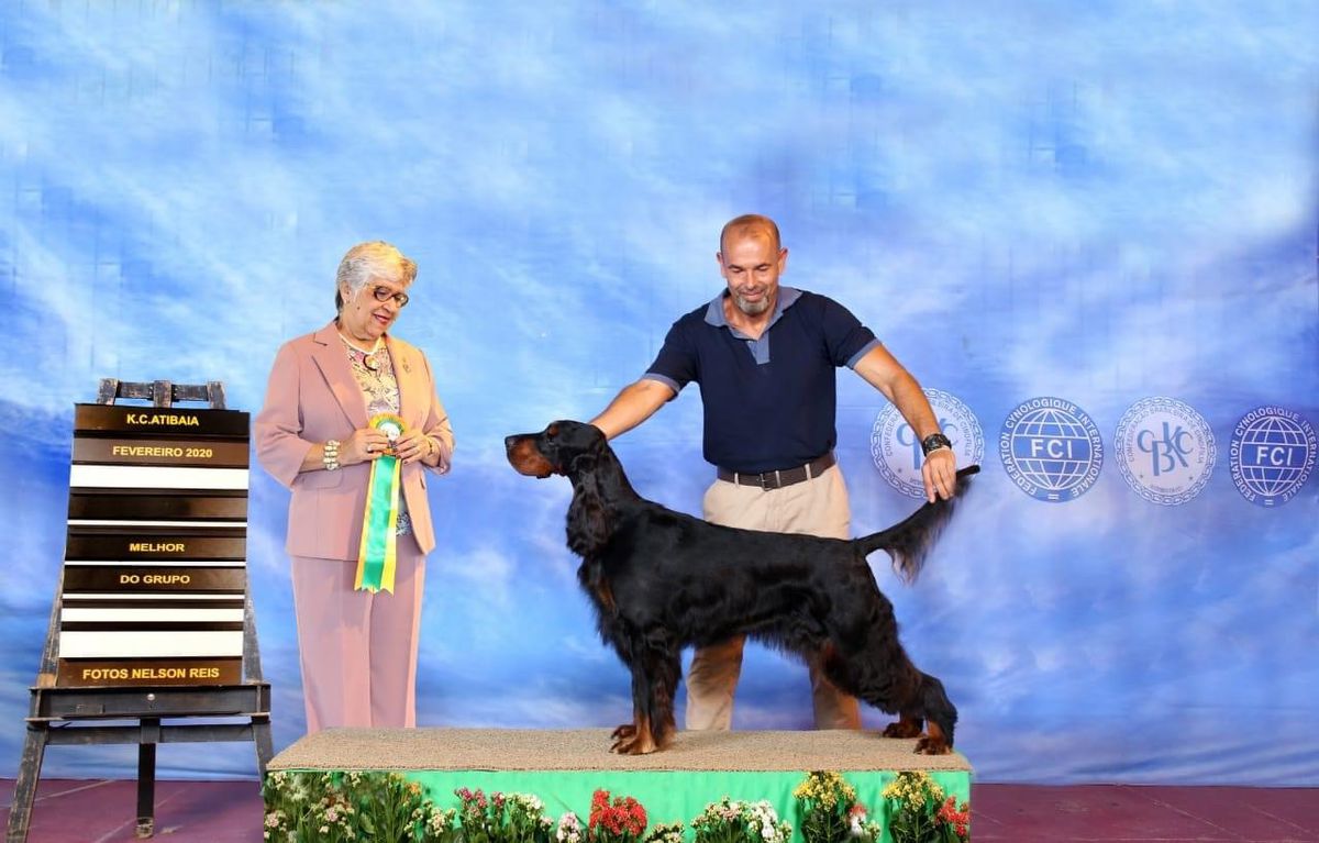 Moai Mana Mila Grandset | Gordon Setter 