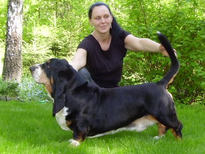 MARGINES z Gangu Dlugich | Basset Hound 