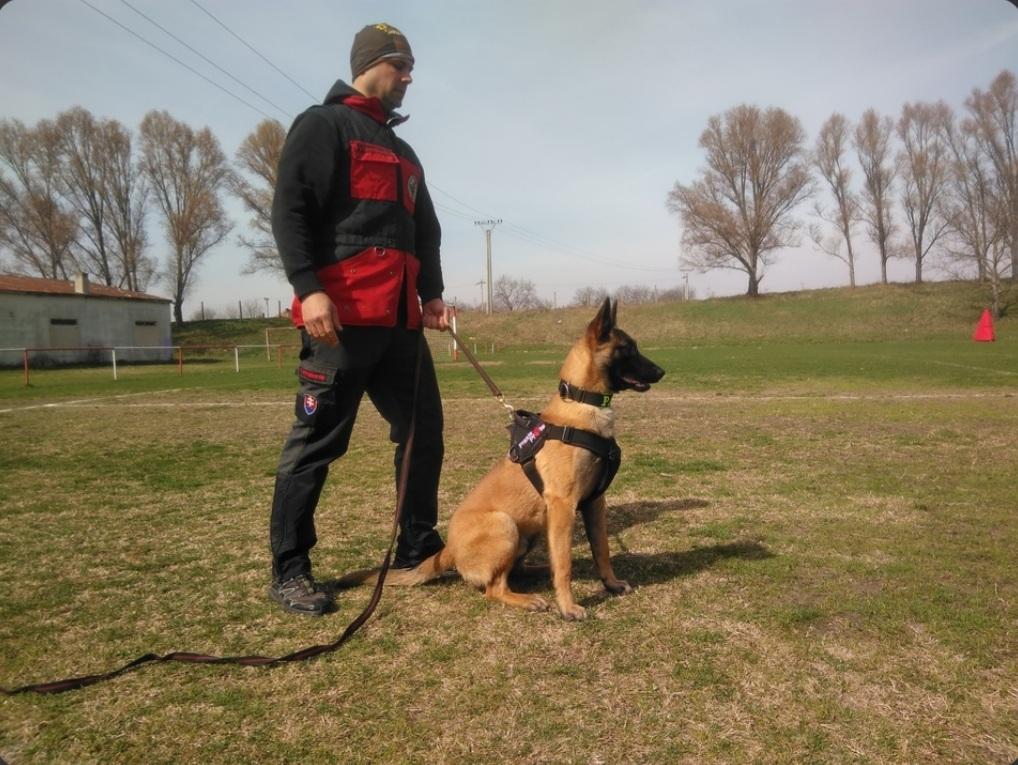 Lupus Adlerburg von Ungarn | Belgian Malinois 